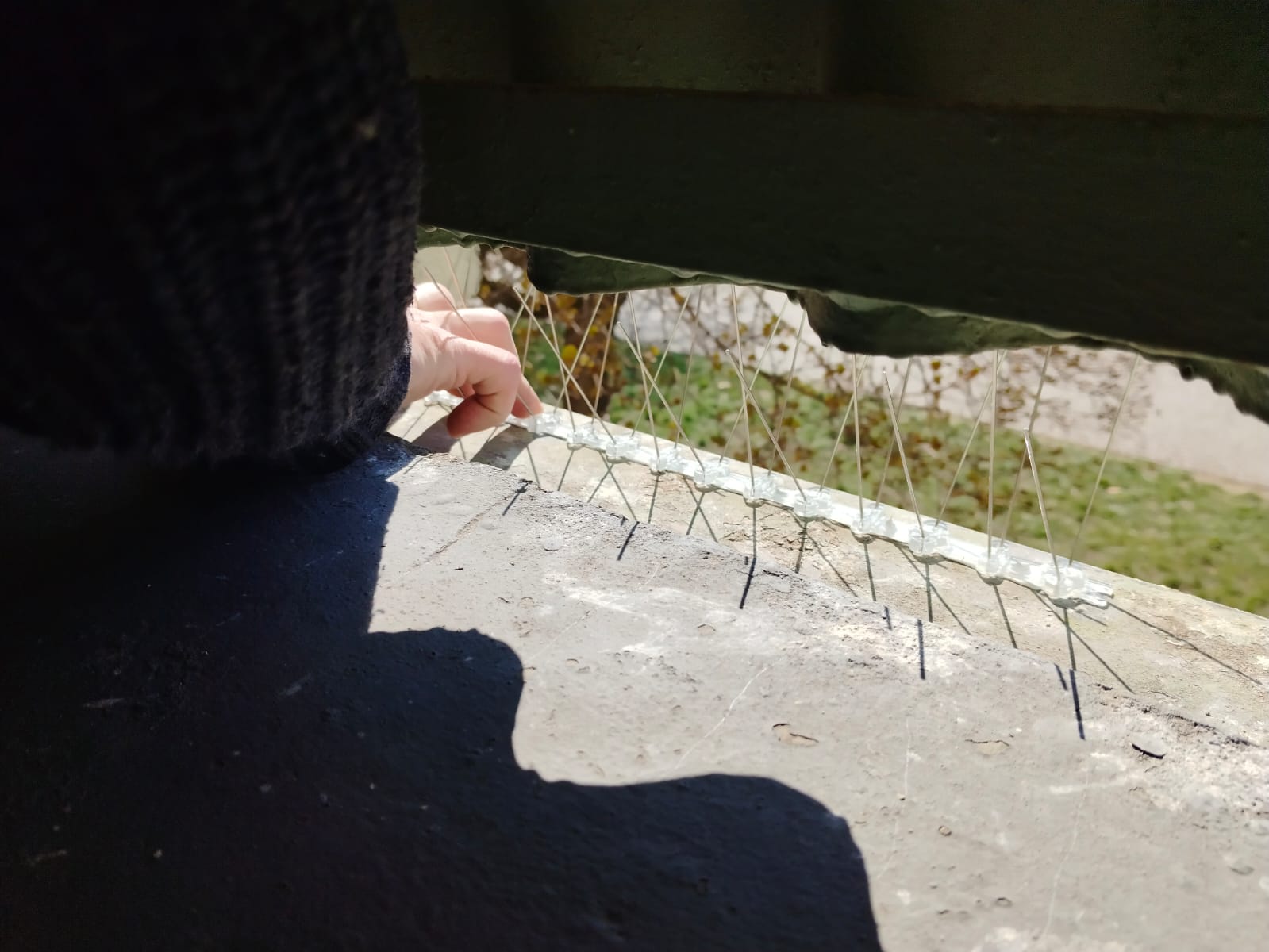 Ochranné hroty proti holubům instalované na střešní hraně budovy