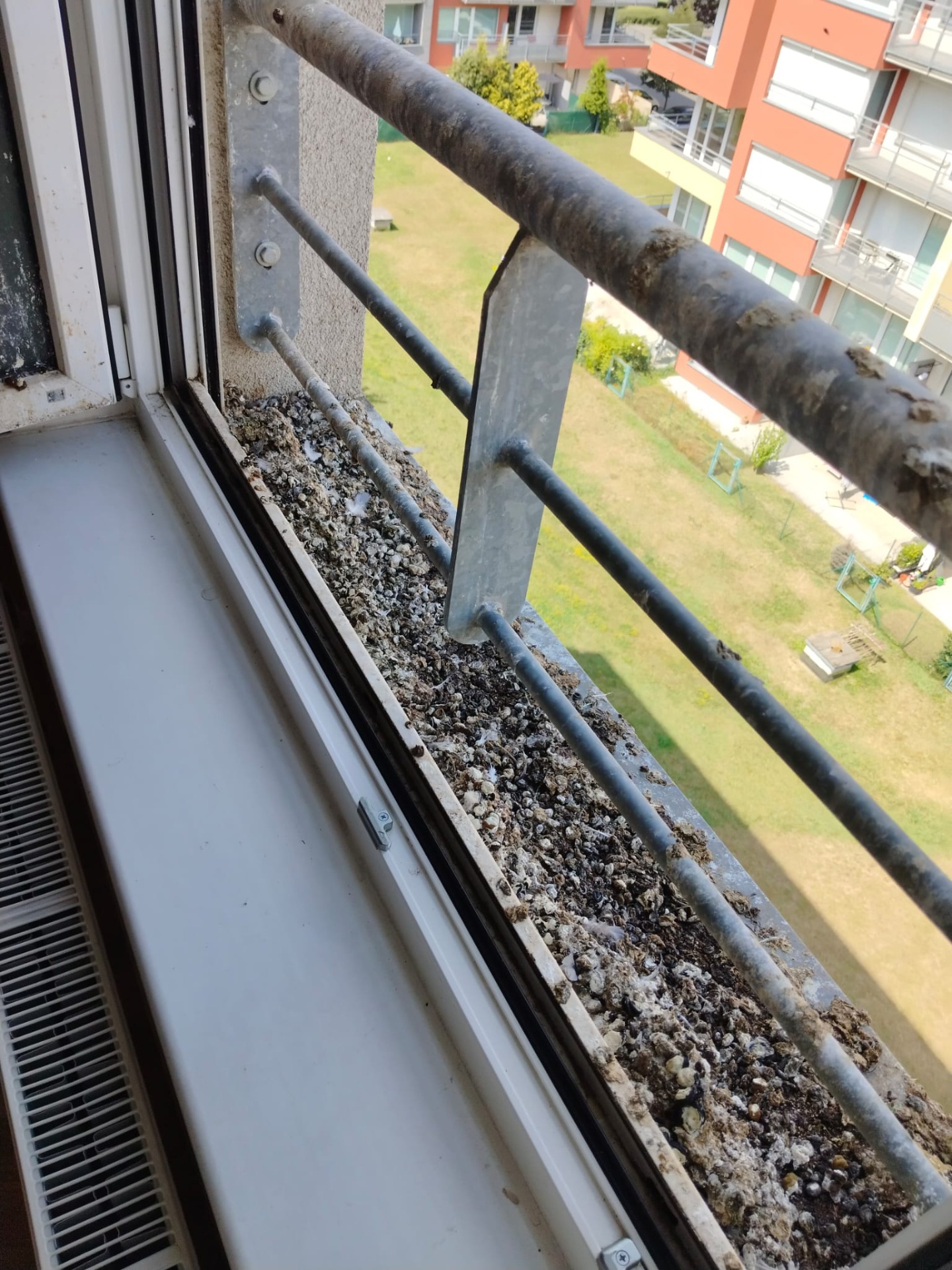 Znečištěný balkon s nahromaděným holubím trusem před úklidem